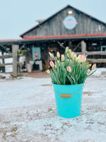 Winter Tulip Subscription