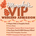 VIP Fall Festival Admission