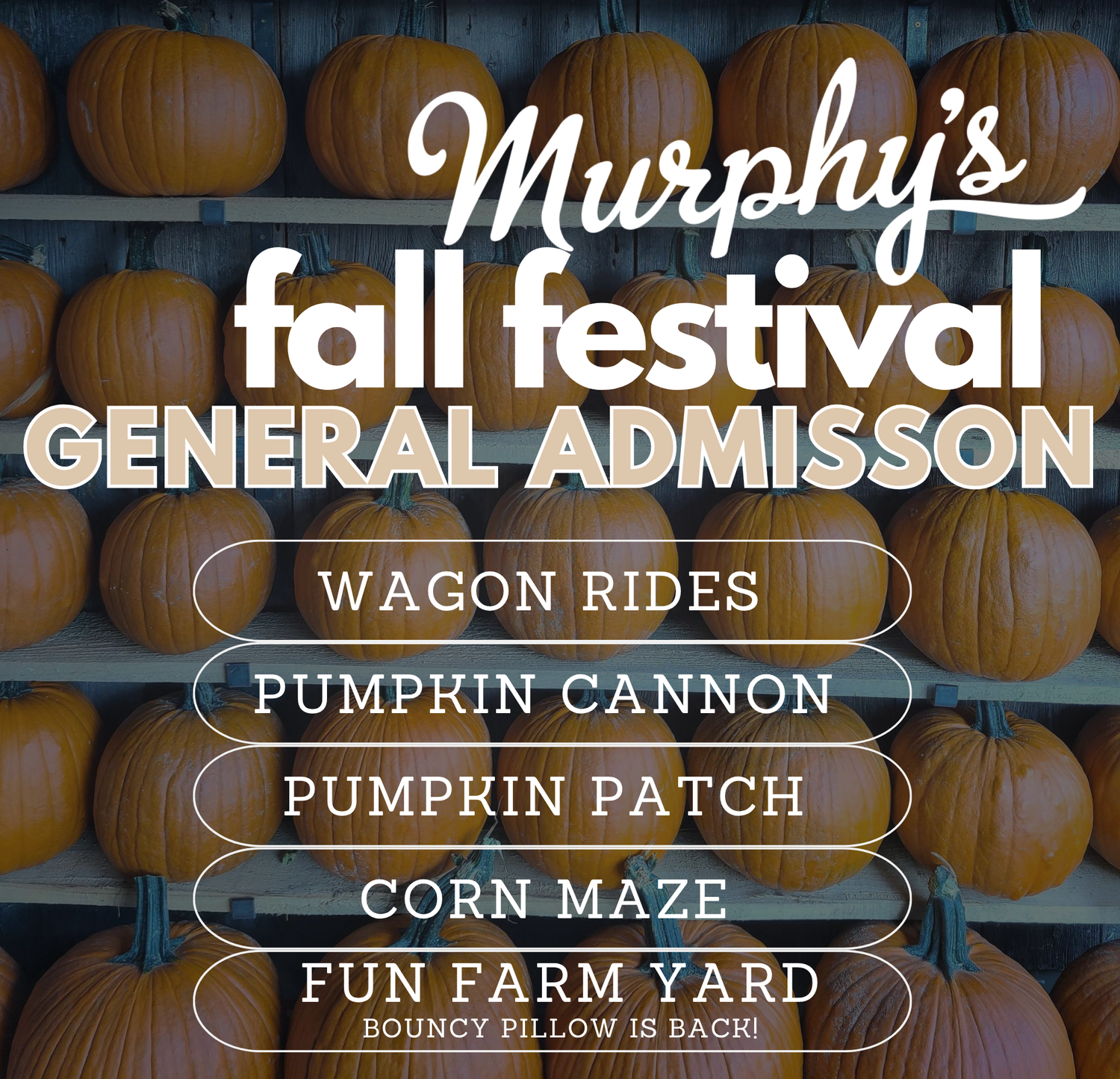 Fall Festival General Admission