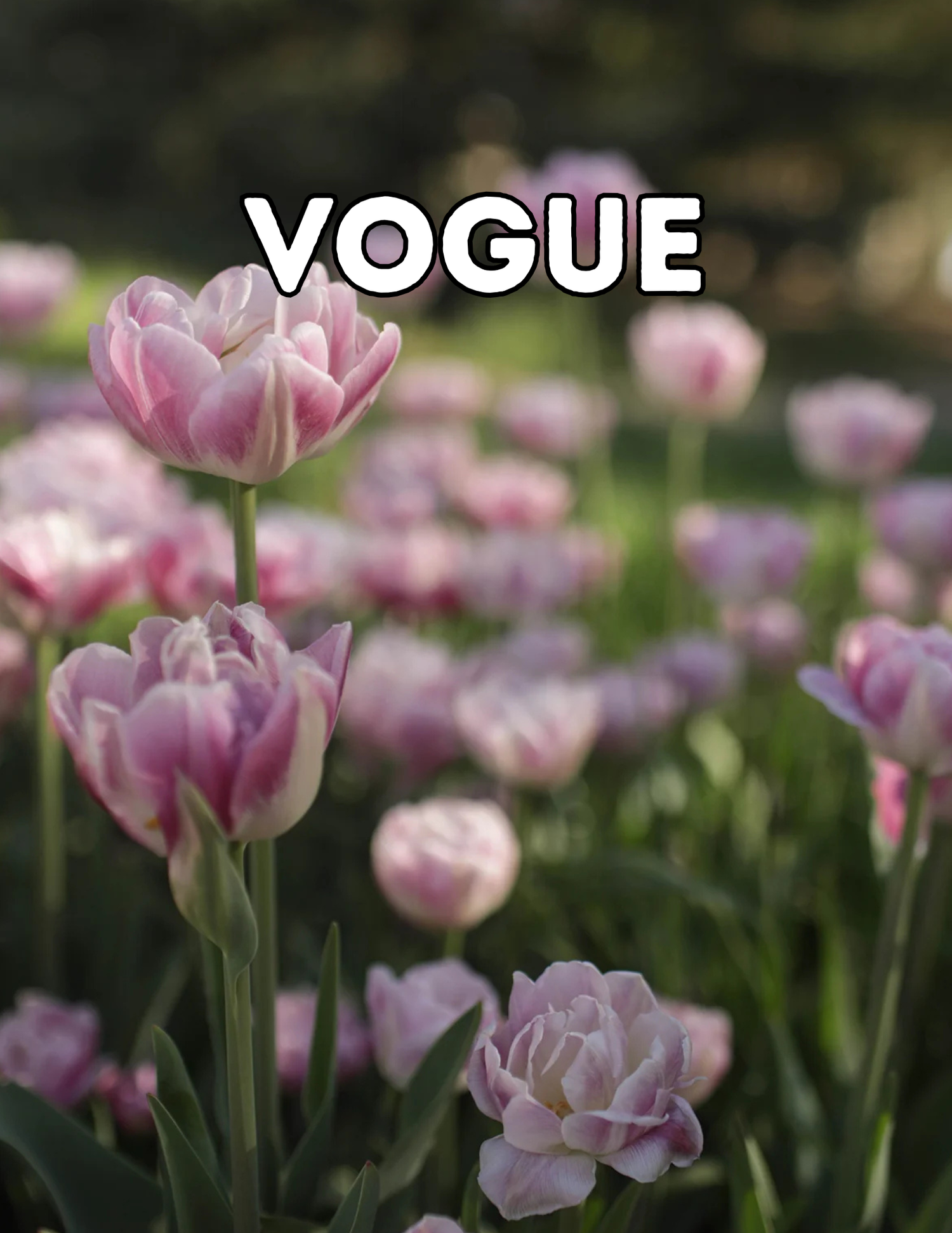 Vogue 10 Tulip Bulbs