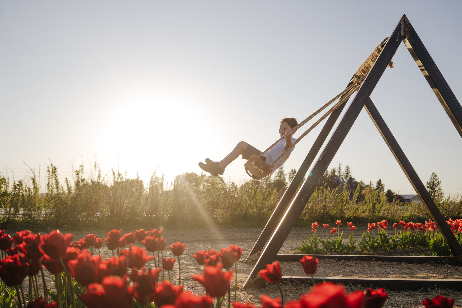 Festival of Blooms Ticket - Pick Your Own Tulip Experience