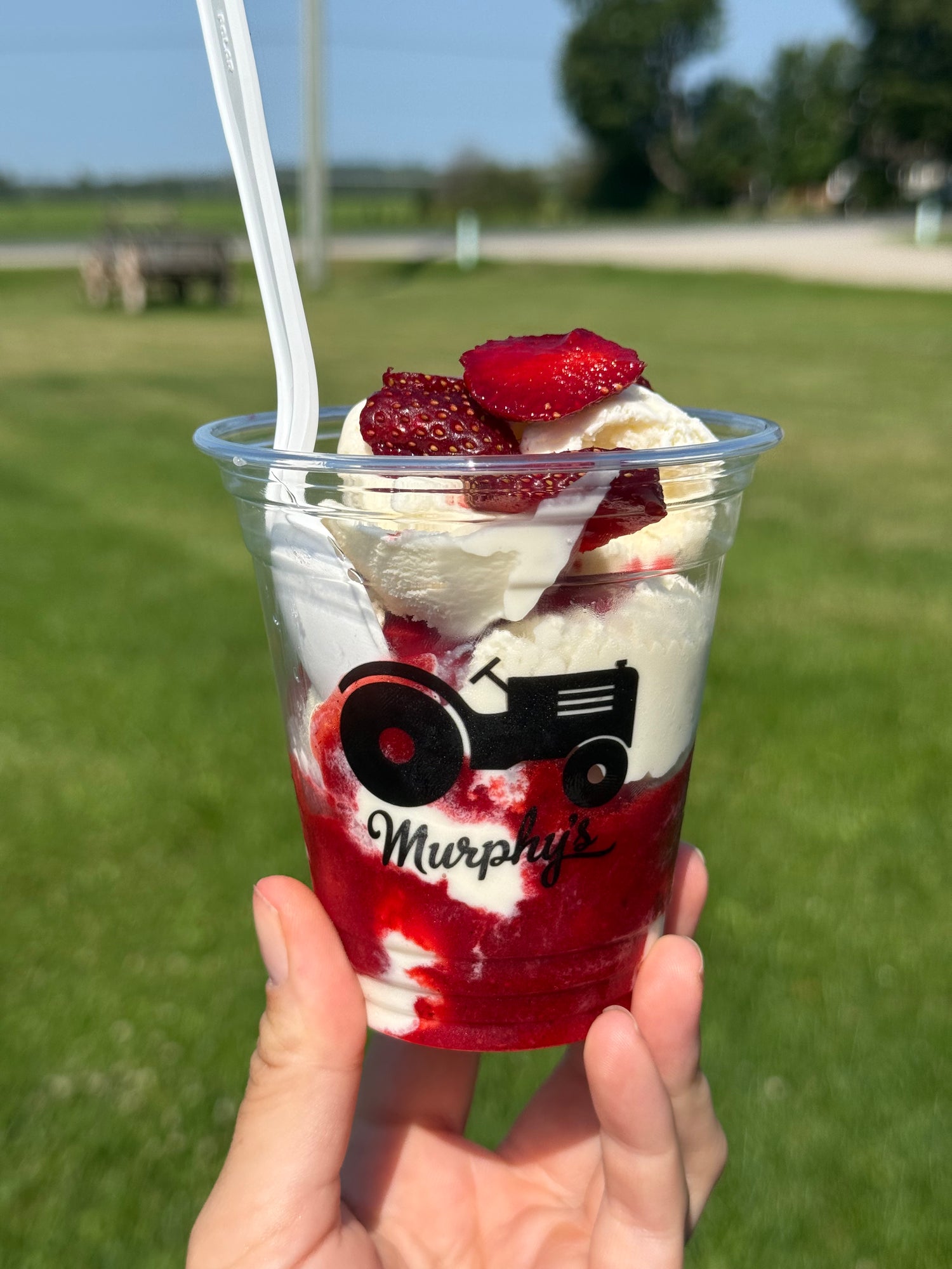 Ice Cream Sundae