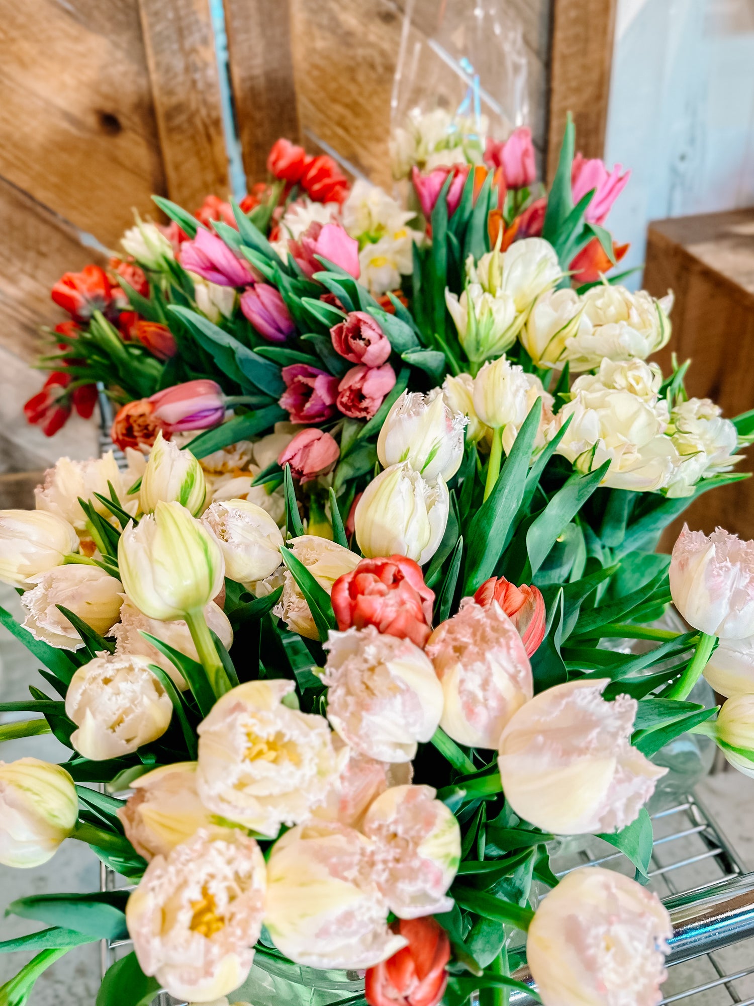 Winter Tulip Subscription