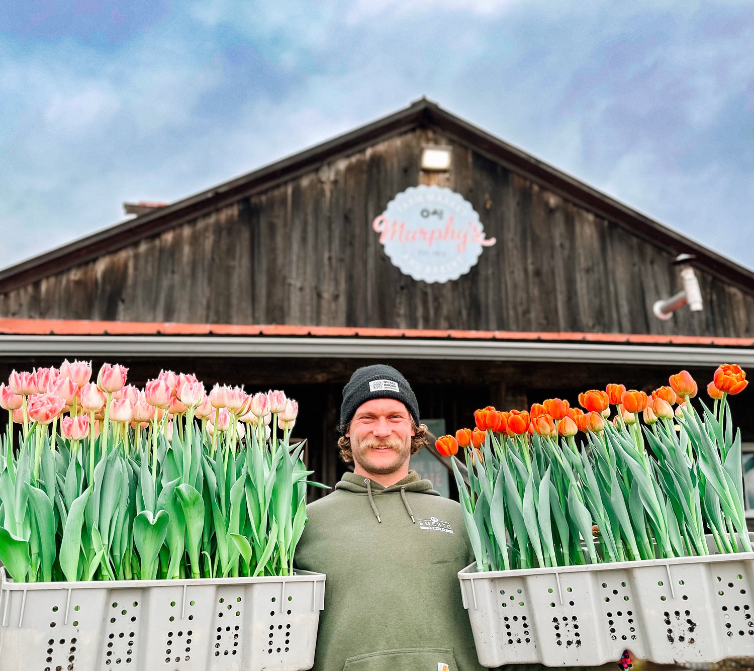 Festival of Blooms Ticket - Pick Your Own Tulip Experience