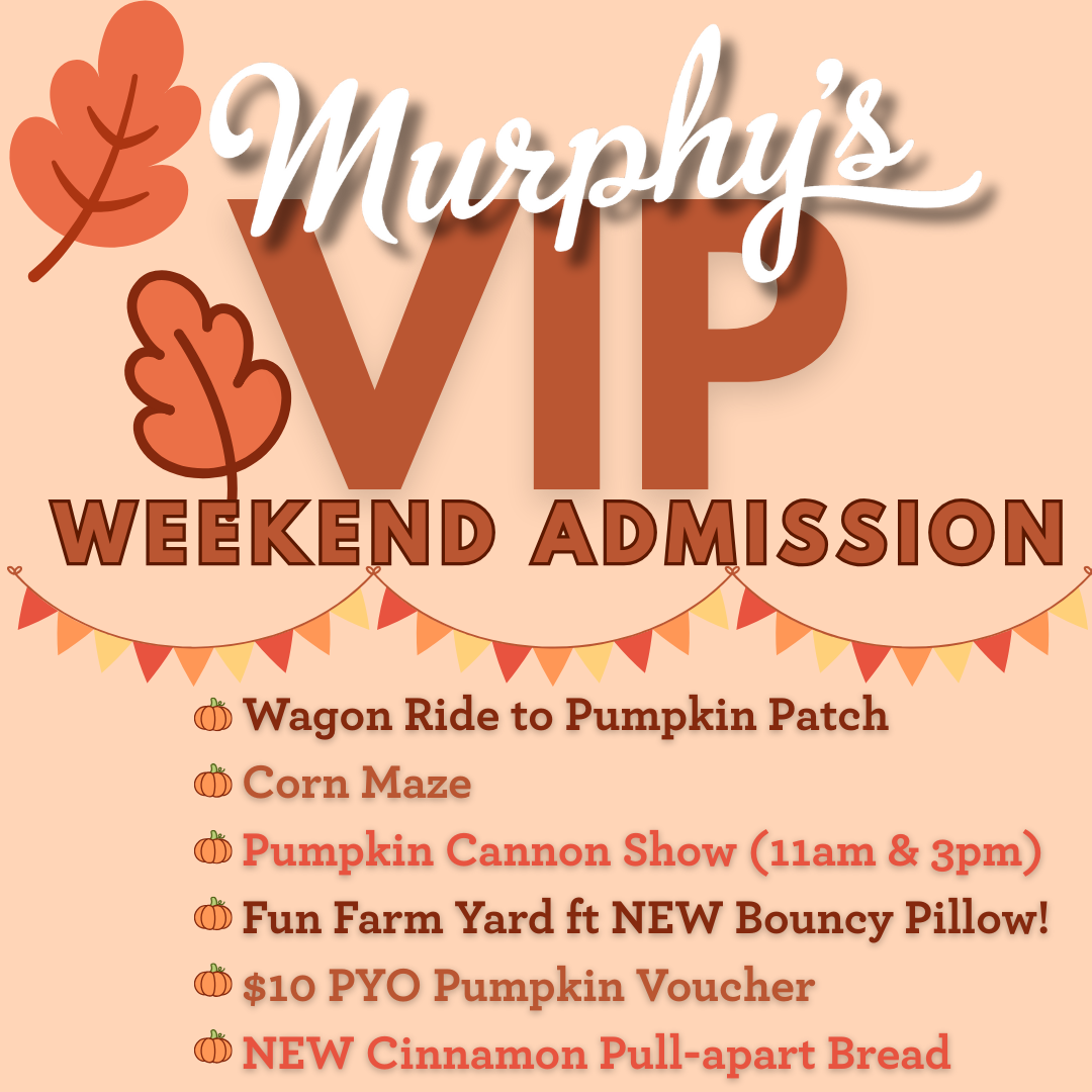 VIP Fall Festival Admission