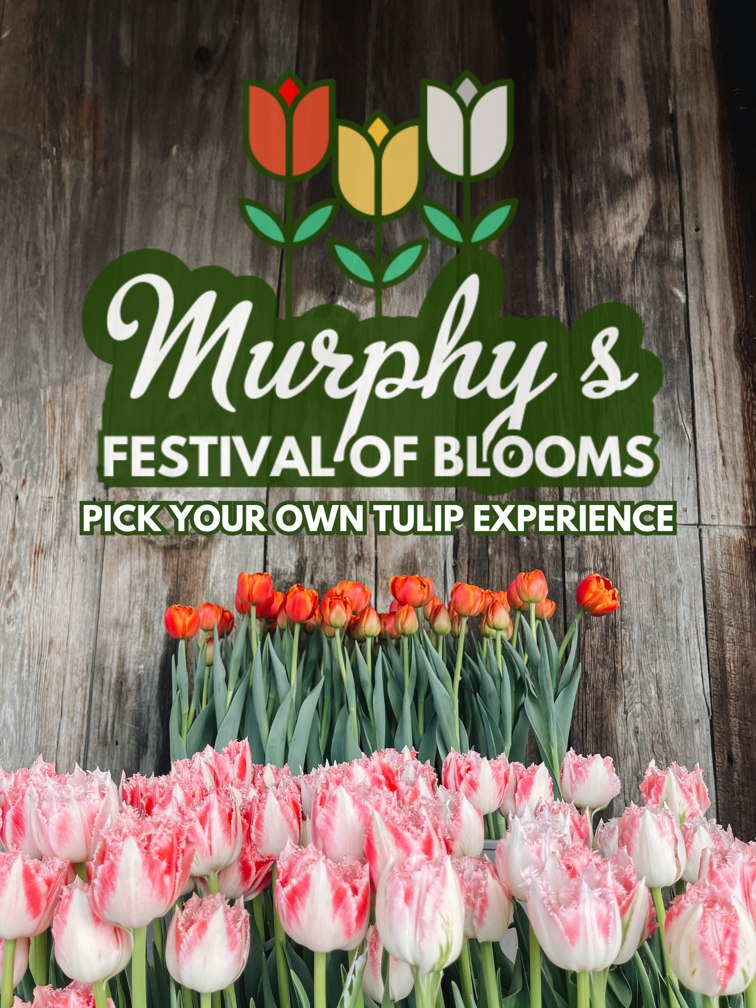 Festival of Blooms Ticket - Pick Your Own Tulip Experience
