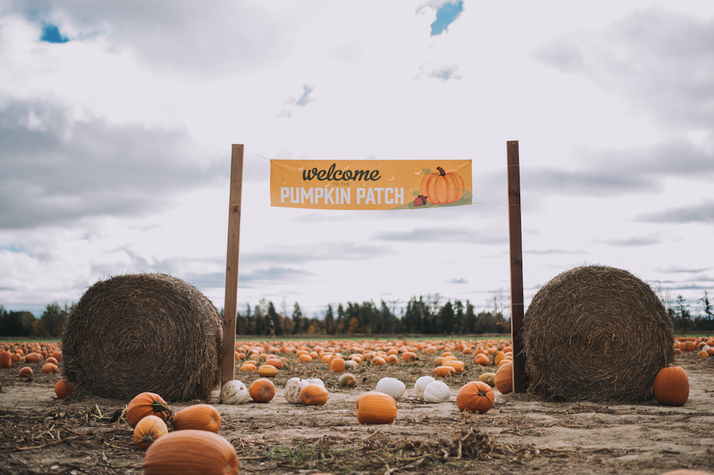 Fall Festival Admission